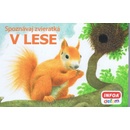 V lese