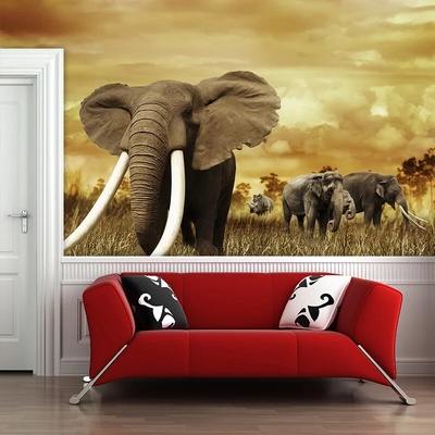 Sablio Tapeta Slon Africký, rozmery 336x220 cm