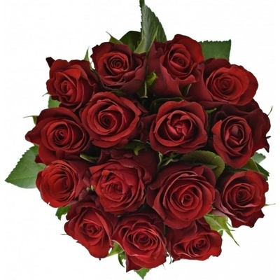 Kytice 15 červených růží SIMPLY RED 50 cm