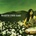 Haste The Day - When Everything Falls CD