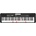 Casio LK-S250