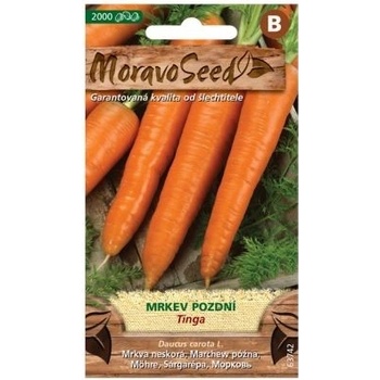 Semená neskorej mrkvy TINGA, 2000 s