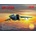 ICM MiG-25 BM 1:72