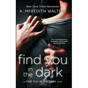Find You in the Dark | A. Meredith Walters (2014)