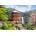 Castorland - Puzzle Seiganto ji temple, Japan - 1 000 piese