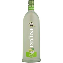 Divine Boris Jelzin Apple 16,6% 1 l (čistá fľaša)