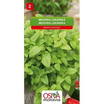 Osiva Moravia Semínka Meduňka lékařská