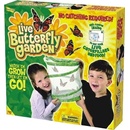 Insect Lore Motýlí zahrádka 3 5 housenek Butterfly Garden