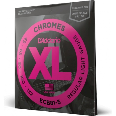 D´Addario ECB81-5 45132