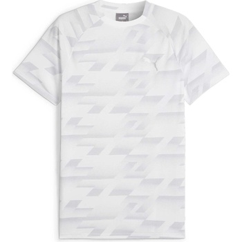 PUMA Тениска evostripe aop