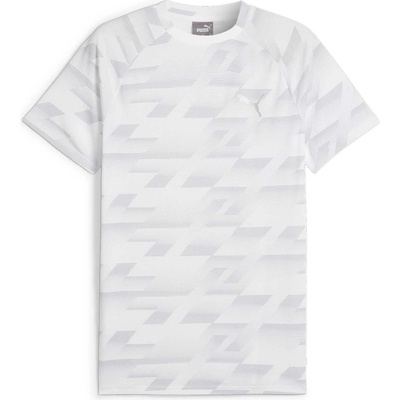 PUMA Тениска evostripe aop