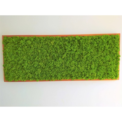 Mechový obraz teak 60cm x 120cm