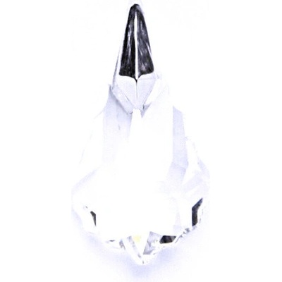Čištín Stříbrný přívěsek s krystalem Swarovski čirý krystal 8936