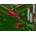 Farming Simulator (16-Bit Edition)
