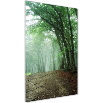 Vertikálny foto obraz sklenený Hmla v lese 50x100 cm