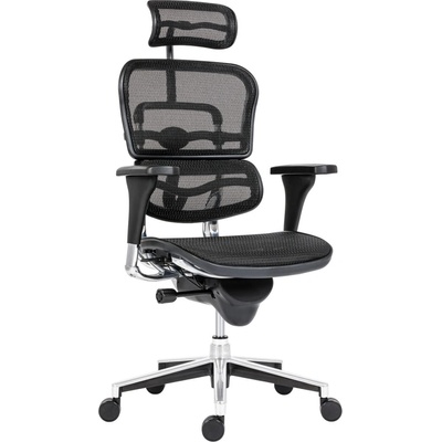 Antares Работен стол Antares ERGOHUMAN W, до 150кг, мрежа, коригиране на височината и облегалката, лумбална опора, заключване в позиция, ергономичен, черен (ERGOHUMAN-W)