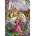 Educa - Puzzle Princess and unicorn - 500 piese