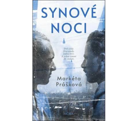 Synové noci