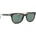 David Beckham DB 1113/S 086 QT 52