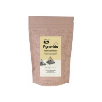 BONThé Rooibos Chladivé jahůdky Pyramids 45 g