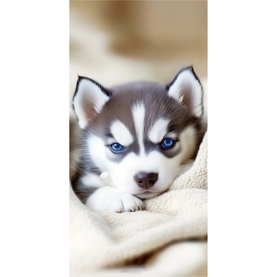 Witpol plážová osuška z mikrovlákna husky 100 x 180 cm