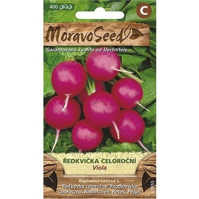 Reďkovka celoročná guľatá VIOLA fialová MoravoSeed