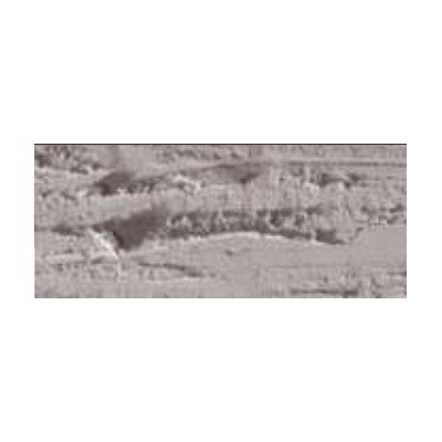 Caran d´Ache Neopastel olejový pastel 403 beige