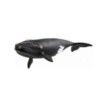 Schleich Wild Life North Atlantic Right Whale