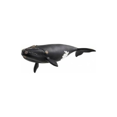 Schleich Wild Life North Atlantic Right Whale