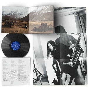 Universal Pj Harvey: The Hope Six demolition Project (2021 Reissue Limited) - Vinyl (LP) (046603)