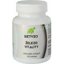 HCY Vitality Železo 100 tobolek