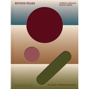 Beyond Peaks | Marcel Skibba (ISBN: 9781837291106)