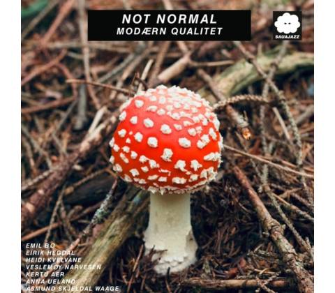 Not Normal, MODAERN QUALITET, CD