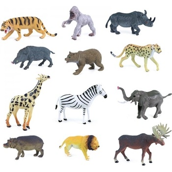 Rappa divoká 13-20 cm gepard