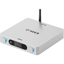 FiiO BR15 R2R
