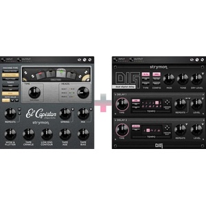Strymon Echo Bundle: El Capistan & DIG (Дигитален продукт)