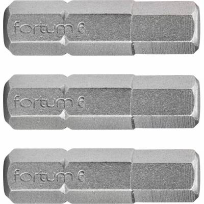 Fortum H6x25 mm 3 ks 4741508