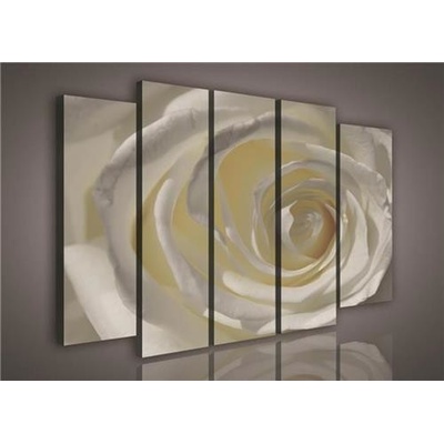Obraz na plátně růže bílá 1073S12, rozměr 150 x 100 cm, IMPOL TRADE