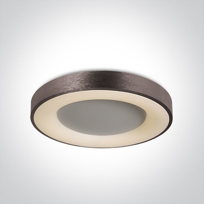 ONE LIGHT 62182A/BBR/W