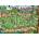 Cobble Hill - Puzzle DoodleTown: Offside Antics - 1 000 piese