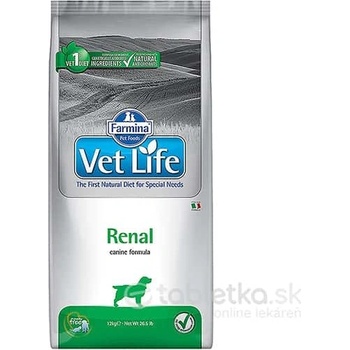 Vet Life Dog Renal 12 kg