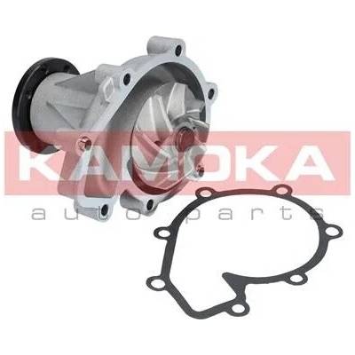 KAM-T0181