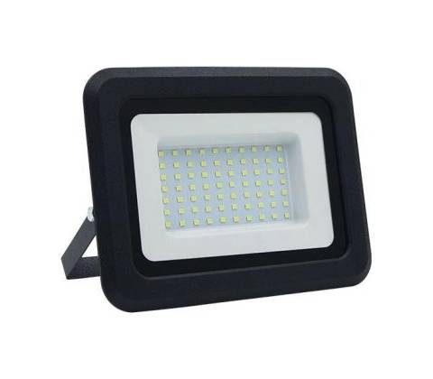 Nedes LF0024