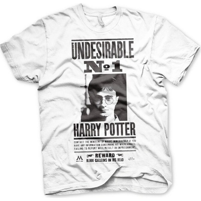 Harry Potter Wanted Poster