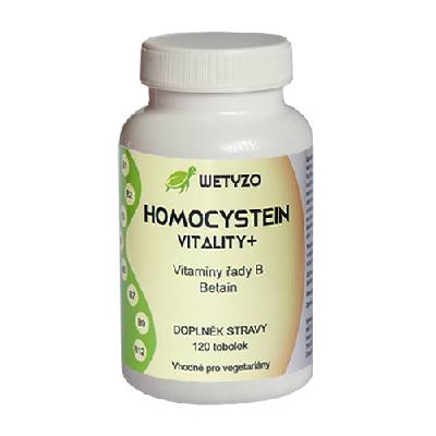 HCY Vitality Homocystein s Betainem 120 tablet