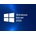 Microsoft HP Windows Server 2022 16C Standard ROK (P46171-021)