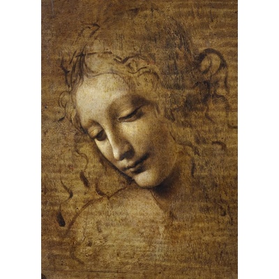 Bluebird Leonardo da Vinci La Scapigliata 1506-1508 1000 dielov