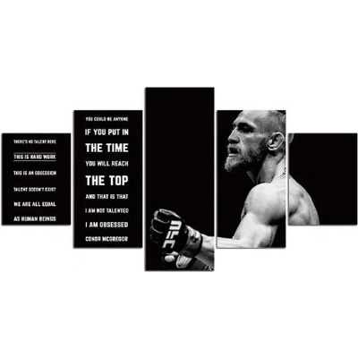 5 dílný obraz na plátně - Conor McGregor .