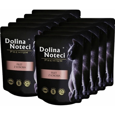 Dolina Noteci Premium Cat Fillet from Salmon 10 x 85 g