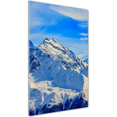 Vertikálny foto obraz sklenený Hory zima 50x100 cm